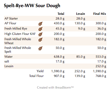 spelt-rye-ww-sour-dough-weights